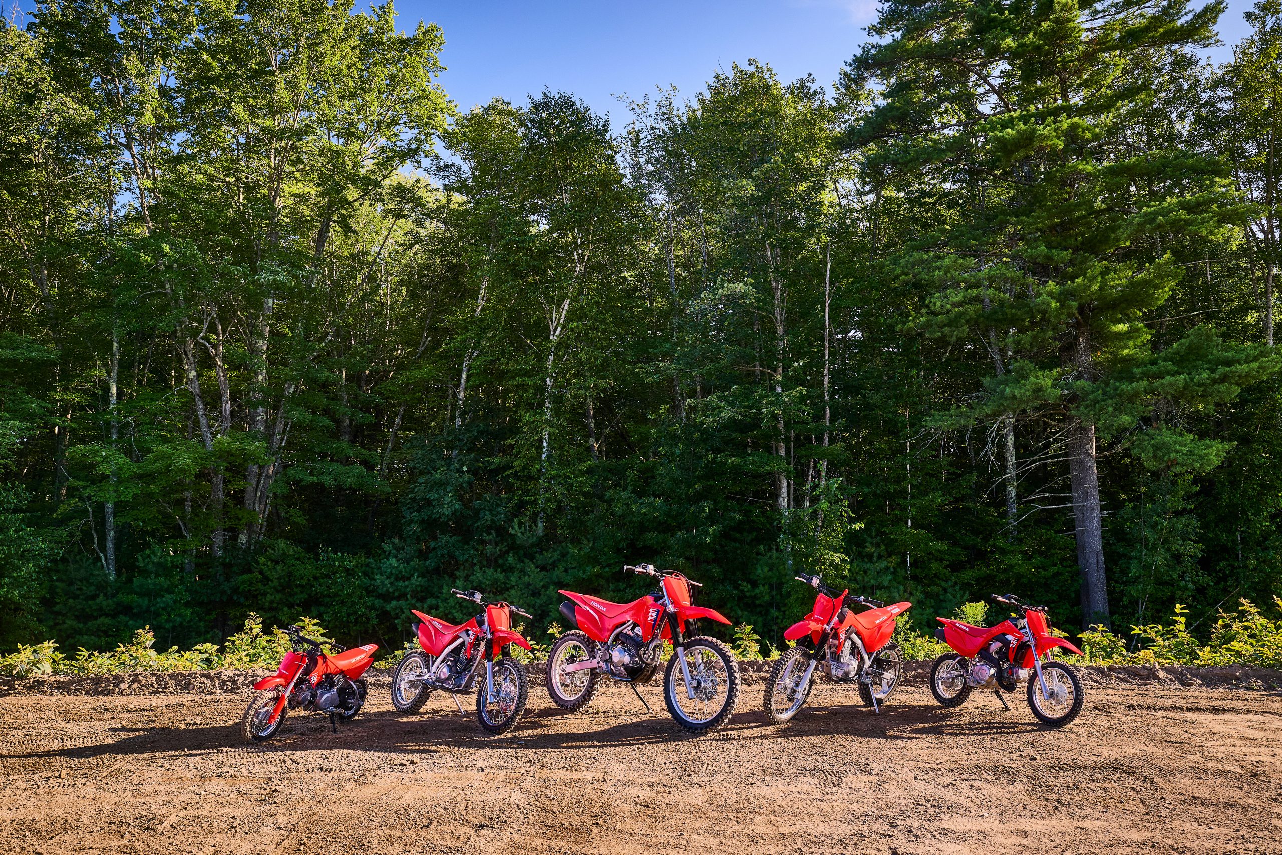 26 Honda CRF300F_beauty 2