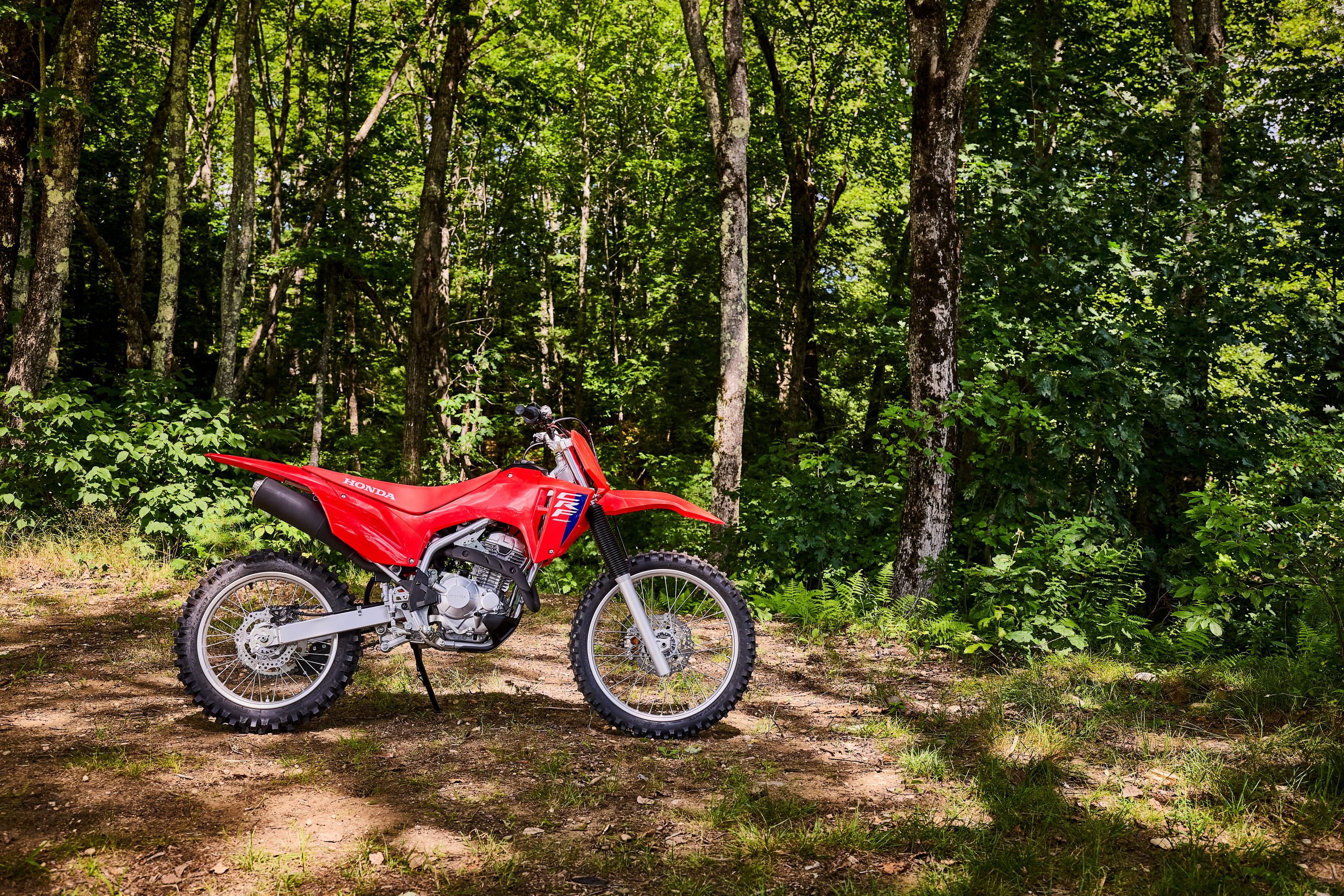 26 Honda CRF300F_beauty 3