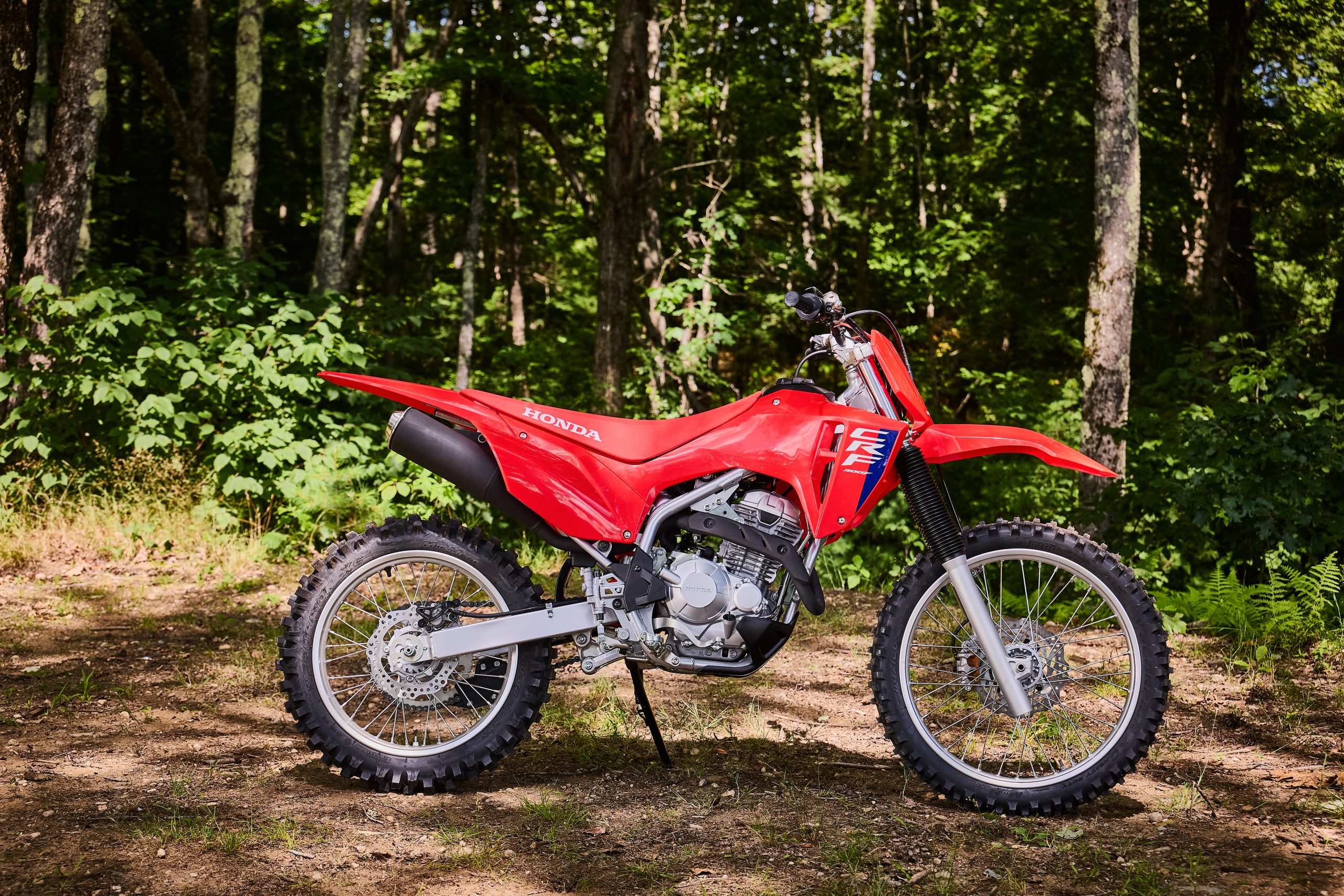 26 Honda CRF300F_beauty 4